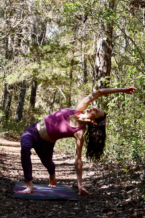 Gentle Vinyasa Flow - Beginner/Gentle Intensity: Level 1